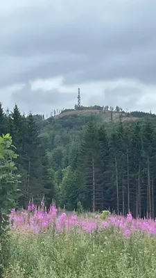 Naturlandschaft in der Nähe der Ferienwohnung