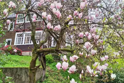 Ein Garten an der Unterkunft Haus am Wald Zorge 16+ Gäste
