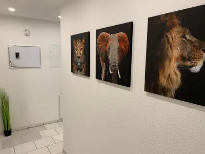 Tiere in der Ferienwohnung oder in der Nähe