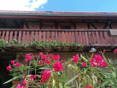 Ein Garten an der Unterkunft Bauernhof Lisa Offenstall und Taubenschlag