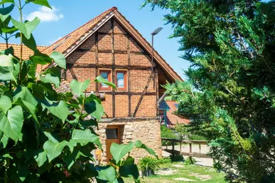 Ein Garten an der Unterkunft Bauernhof Lisa Offenstall und Taubenschlag