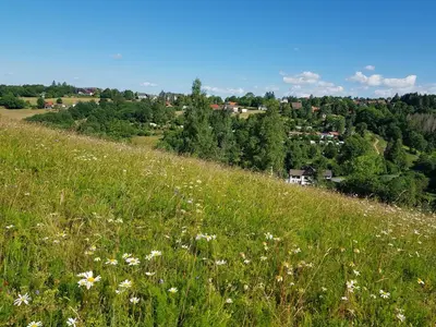 Naturlandschaft in der Nähe der Pension