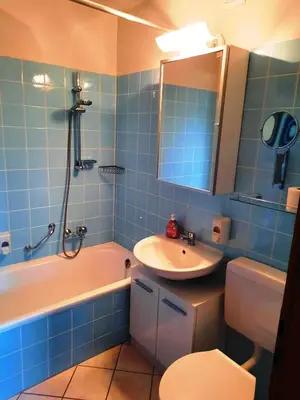 Ein Badezimmer in der Unterkunft Ferienwohnung Wanderkönige