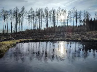 Naturlandschaft in der Nähe des Ferienhauses