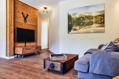 TV/Unterhaltungsangebot in der Unterkunft Mountain Suites Braunlage - Bergzauber