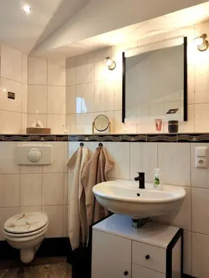 Ein Badezimmer in der Unterkunft Ferienhaus Blaue Blume mit 11 kW Ladestation, Kamin, Terrasse, eingezäuntem Garten, Sauna, WLAN, Netflix, 2 Hunde willkommen!