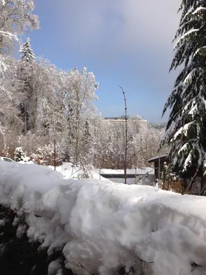 Apartment Johanna im Winter