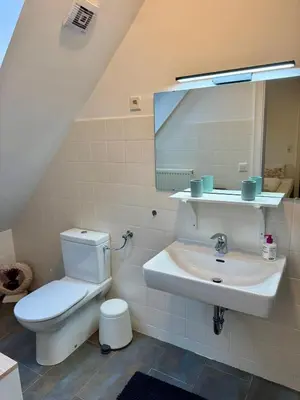 Ein Badezimmer in der Unterkunft Harzgemütlichkeit für 2 Personen und Haustier - Altenau!