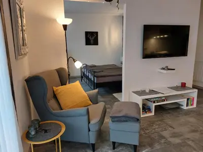 TV/Unterhaltungsangebot in der Unterkunft Ferienwohnung Domicile chic mit Schwimmbad und Saunanutzung