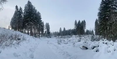 Kleine-Romantische Ferienwohnung Parkplatz vor dem Haus! im Winter