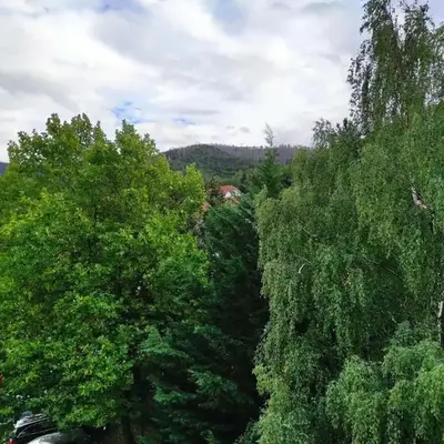 Ferienwohnung Waldwiese
