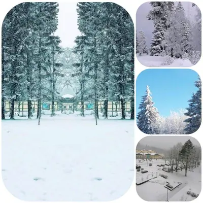 CrisAnd 3 Panoramic im Winter