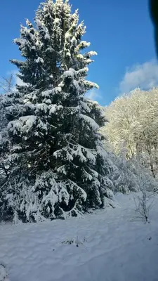 Eulennest,Parkplatz,Wäschepaket,Reinigung inklusive im Winter