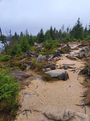 Naturlandschaft in der Nähe der Ferienwohnung