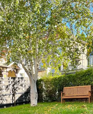Ein Garten an der Unterkunft FeWo gemütliche Residenz mit Holzofen-Sauna von Harztraveler