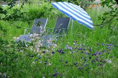 Ein Garten an der Unterkunft An den Weiden