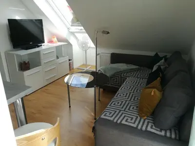 TV/Unterhaltungsangebot in der Unterkunft Apartment-Studio baubiologisch in Quedlinburg