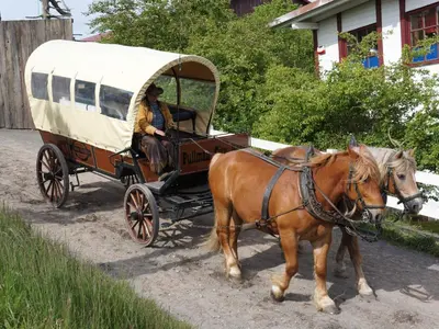 Tiere in der Ferienwohnung oder in der Nähe