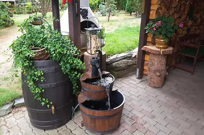 Ein Garten an der Unterkunft Ferienwohnung Lachmann