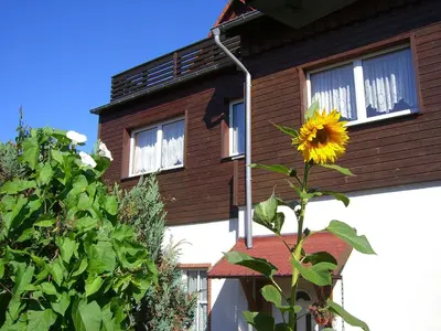 Ein Garten an der Unterkunft Pension Königshof