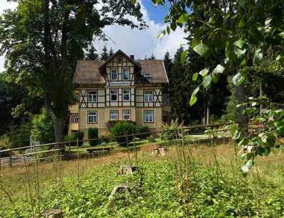 Ein Garten an der Unterkunft Haus Sonnenblick