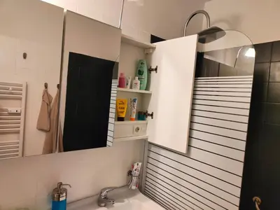 Ein Badezimmer in der Unterkunft Apartment Harzfeuer mit wunderbarem Ausblick und Schwimmbad