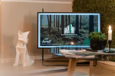 TV/Unterhaltungsangebot in der Unterkunft Waldbewohner Apartments / Fuchs