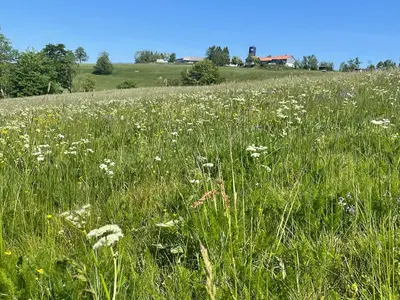 Naturlandschaft in der Nähe der Ferienwohnung