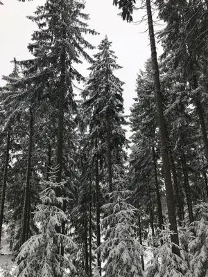 Bergluft im Winter