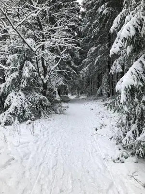 Bergluft im Winter