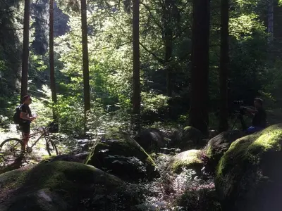 Naturlandschaft in der Nähe der Ferienwohnung