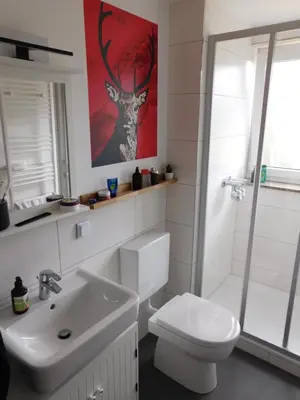 Ein Badezimmer in der Unterkunft Harzbude