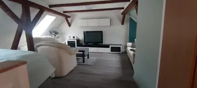 TV/Unterhaltungsangebot in der Unterkunft Ferienwohnung in Timmenrode am Harz