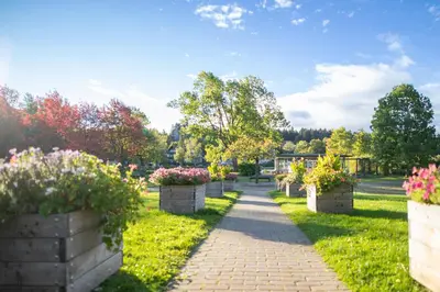 Ein Garten an der Unterkunft Hexenglück und Hexenzauber Hahnenklee