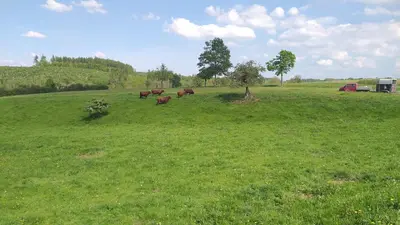 Naturlandschaft in der Nähe der Ferienwohnung