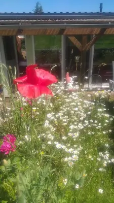 Ein Garten an der Unterkunft Ferienhaus Harzer Bauernhof