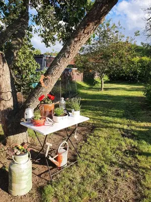 Ein Garten an der Unterkunft Ferienhaus 