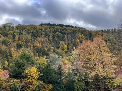 Naturlandschaft in der Nähe des Ferienhauses