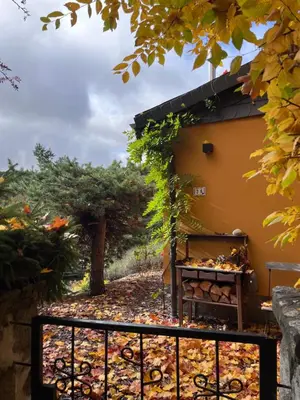 Ein Garten an der Unterkunft kleines Harz-Chalet
