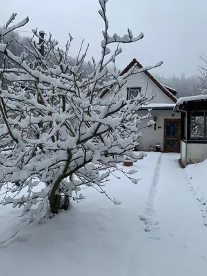 Ferienhaus Andrea am Bodetal im Winter