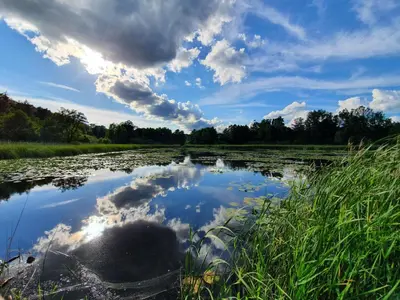 Naturlandschaft in der Nähe des Privatzimmers
