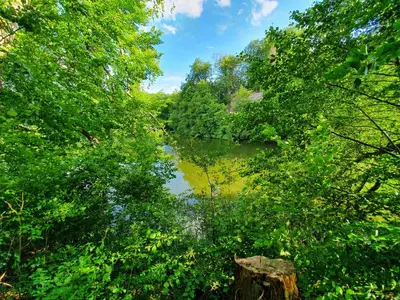 Naturlandschaft in der Nähe des Privatzimmers