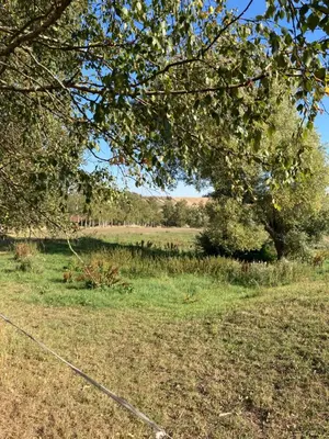Naturlandschaft in der Nähe des Ferienhauses
