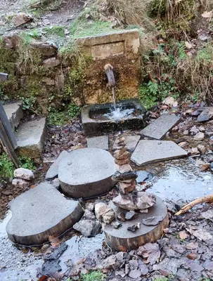 Ein Garten an der Unterkunft Sonneck
