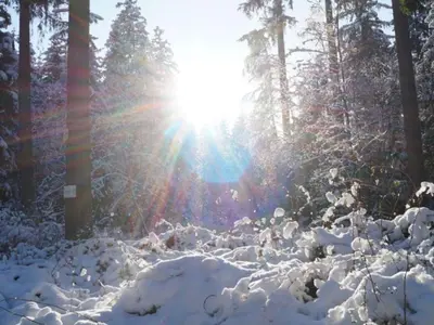 NEU! FeWo Panoramablick Hohegeiß Pool und Sauna im Winter