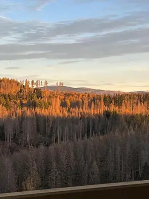 Naturlandschaft in der Nähe der Ferienwohnung
