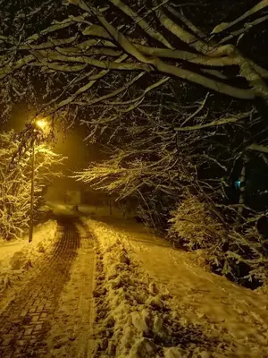 Ferienwohnung Natur pur Mühlental Wernigerode im Winter