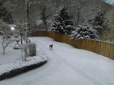 Ferienwohnung Natur pur Mühlental Wernigerode im Winter