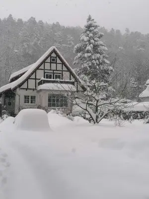 Ferienwohnung Natur pur Mühlental Wernigerode im Winter