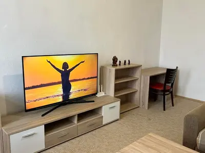 TV/Unterhaltungsangebot in der Unterkunft Family Apartments Thale